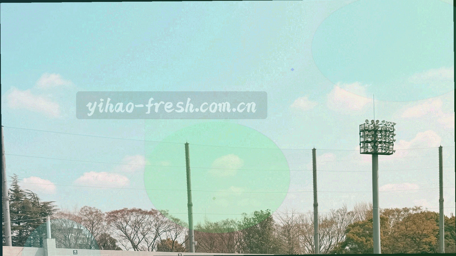 由水果切面年轮构成的抽象时间线图解，层圈对应壹号的发展阶段